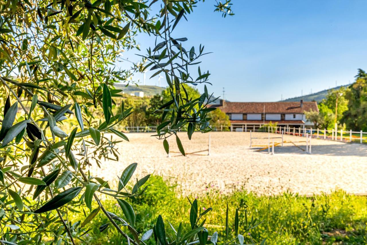 Quinta Do Boicao Feriehus Lisboa