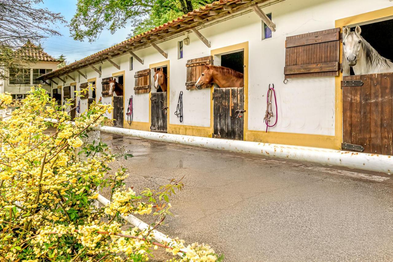 Feriehus Quinta Do Boicao *