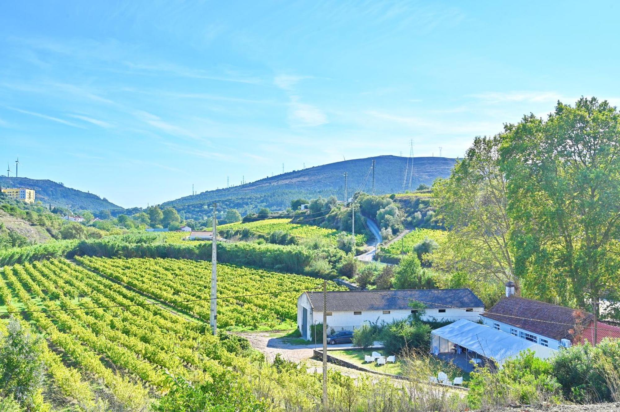 Feriehus Quinta Do Boicao Lisboa